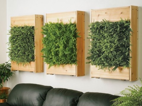 Plant Wall